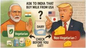 Dairy Business